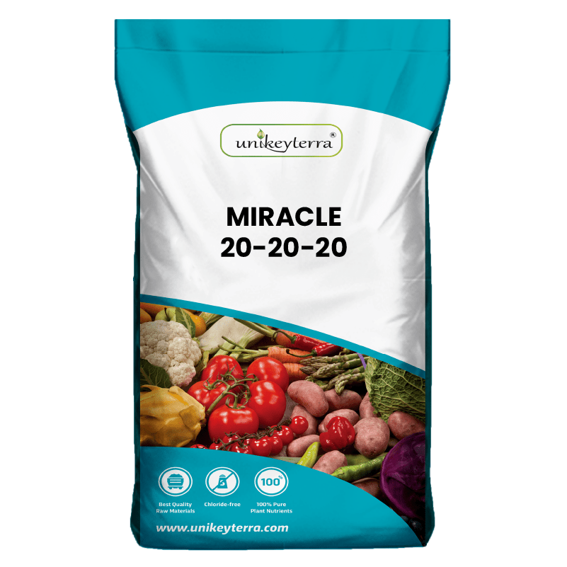 Miracle 20-20-20+TE